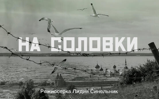 На Соловки