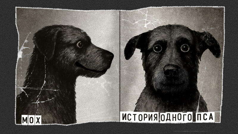 Мох. История одного пса