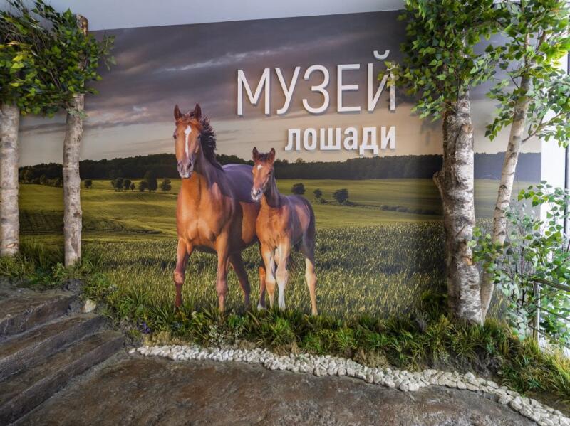 Обзорная экскурсия по интерактивной экспозиции «Музей лошади» (Центр национальных конных традиций)